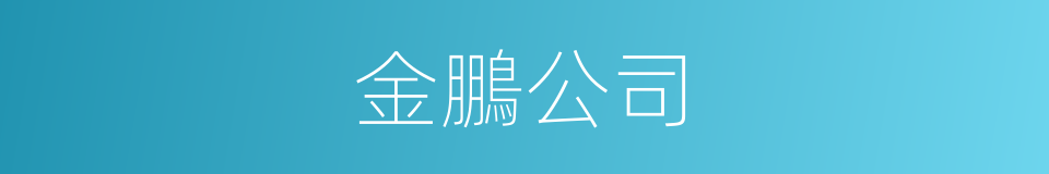 金鵬公司的同義詞