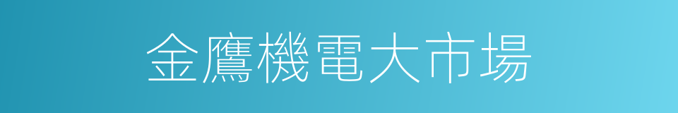 金鷹機電大市場的同義詞