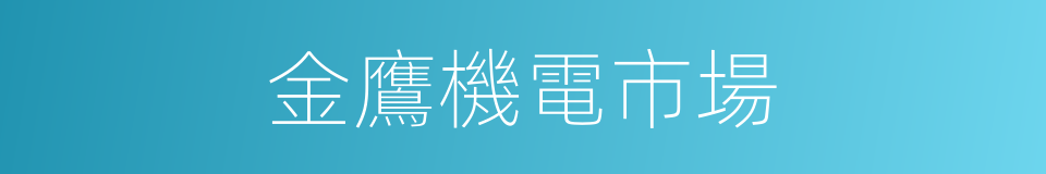 金鷹機電市場的同義詞