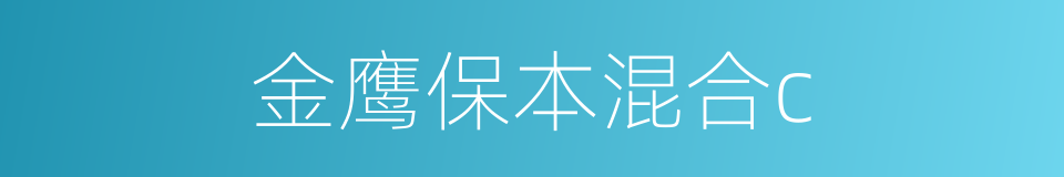 金鹰保本混合c的同义词