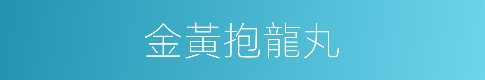 金黃抱龍丸的同義詞