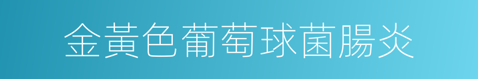 金黃色葡萄球菌腸炎的同義詞