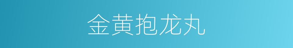 金黄抱龙丸的同义词