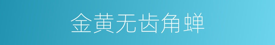 金黄无齿角蝉的同义词