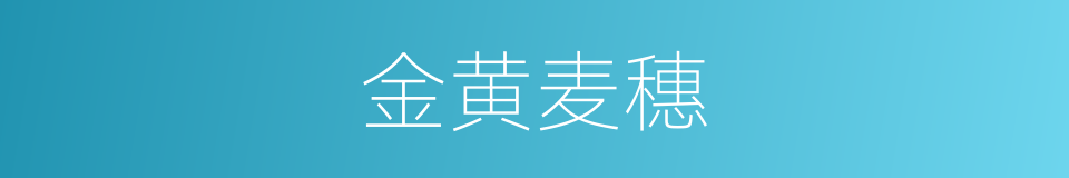 金黄麦穗的同义词