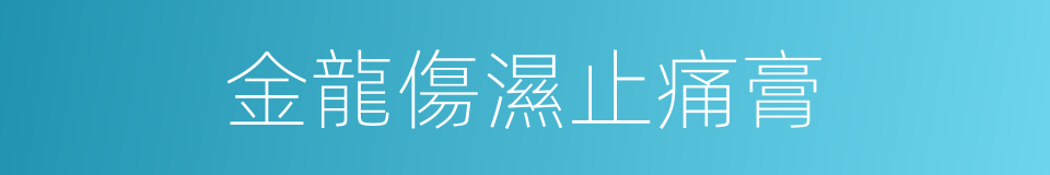 金龍傷濕止痛膏的同義詞