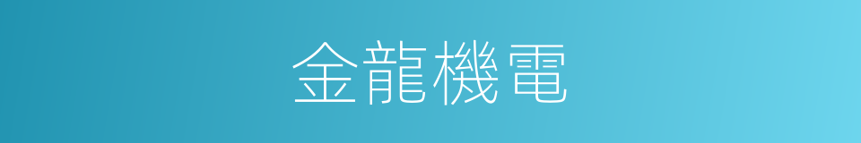 金龍機電的同義詞