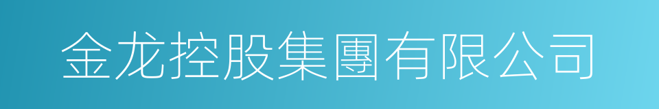 金龙控股集團有限公司的同義詞