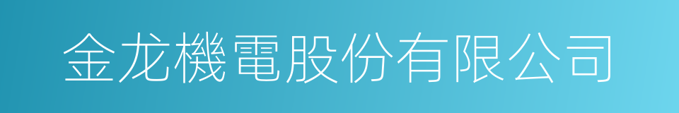 金龙機電股份有限公司的同義詞