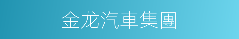 金龙汽車集團的同義詞