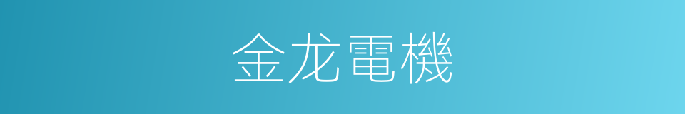 金龙電機的同義詞