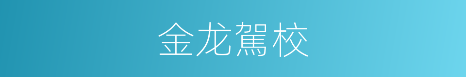 金龙駕校的同義詞