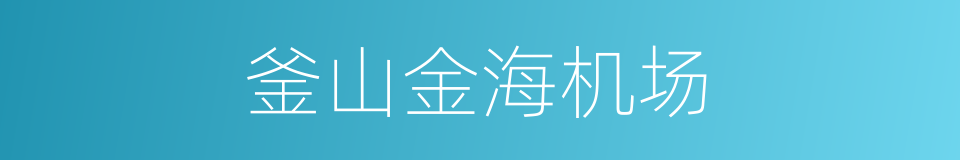 釜山金海机场的同义词