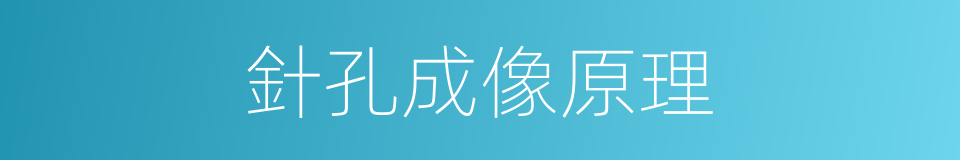針孔成像原理的同義詞