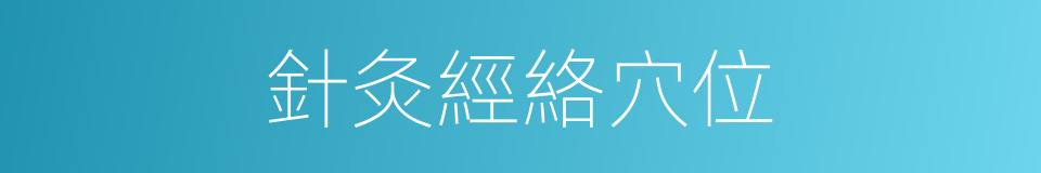 針灸經絡穴位的同義詞