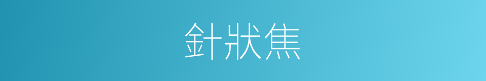針狀焦的同義詞