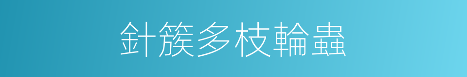 針簇多枝輪蟲的同義詞