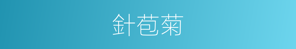 針苞菊的同義詞
