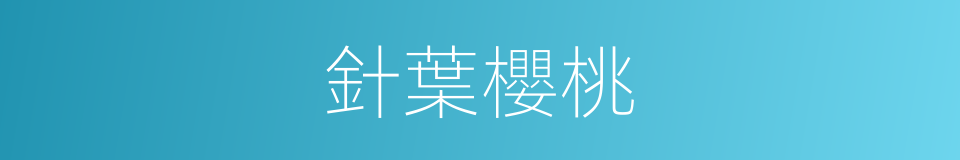 針葉櫻桃的同義詞