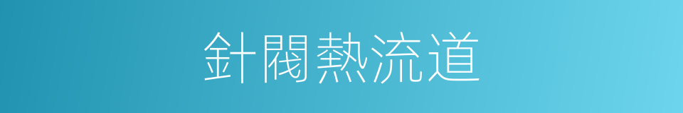 針閥熱流道的同義詞