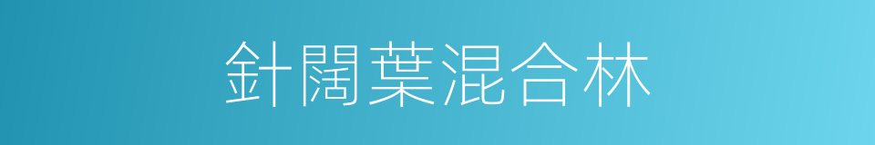 針闊葉混合林的同義詞