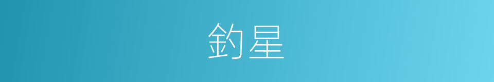 釣星的意思