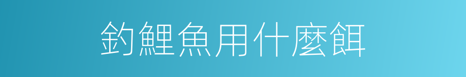 釣鯉魚用什麼餌的同義詞