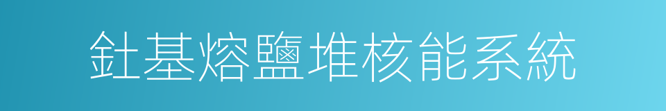 釷基熔鹽堆核能系統的同義詞