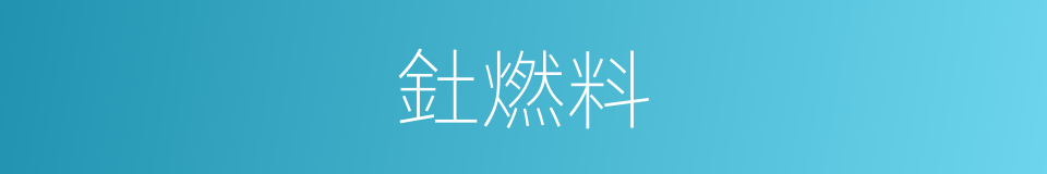 釷燃料的同義詞
