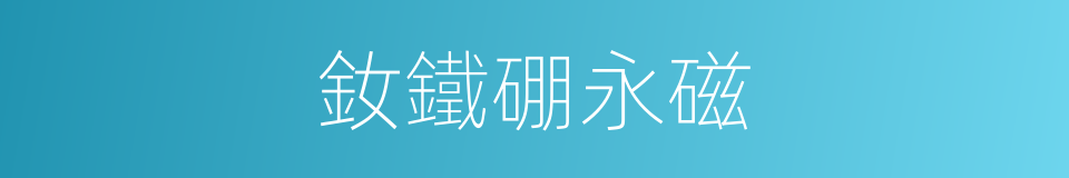 釹鐵硼永磁的同義詞