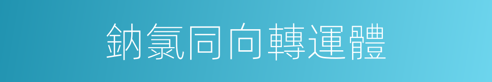 鈉氯同向轉運體的同義詞