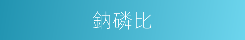 鈉磷比的同義詞