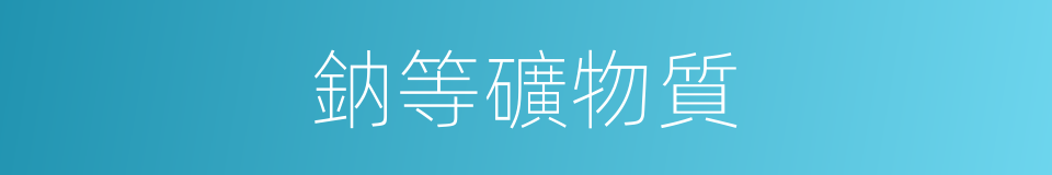 鈉等礦物質的同義詞