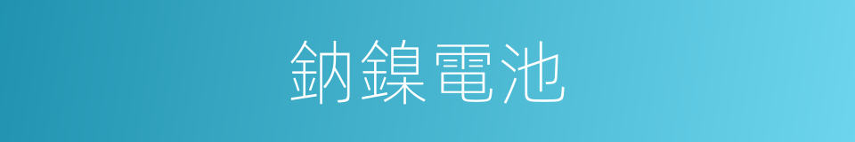 鈉鎳電池的同義詞