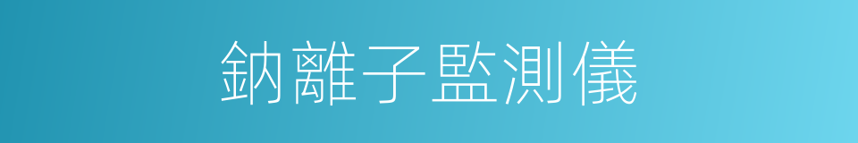鈉離子監測儀的同義詞