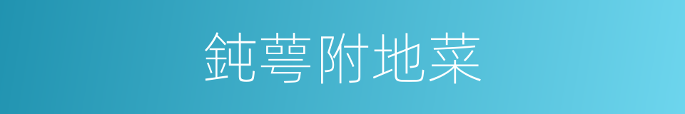 鈍萼附地菜的同義詞