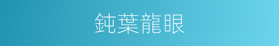 鈍葉龍眼的同義詞