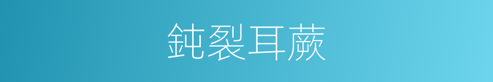 鈍裂耳蕨的同義詞