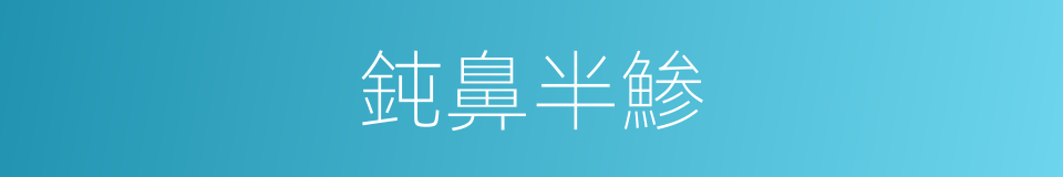 鈍鼻半鯵的同義詞