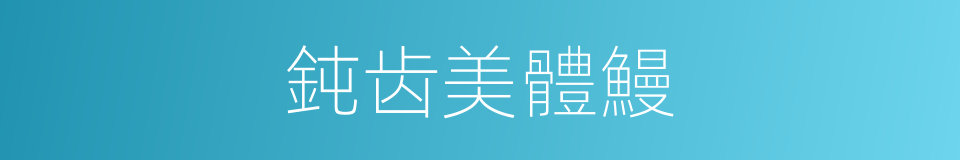 鈍齿美體鰻的同義詞