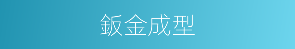 鈑金成型的同義詞
