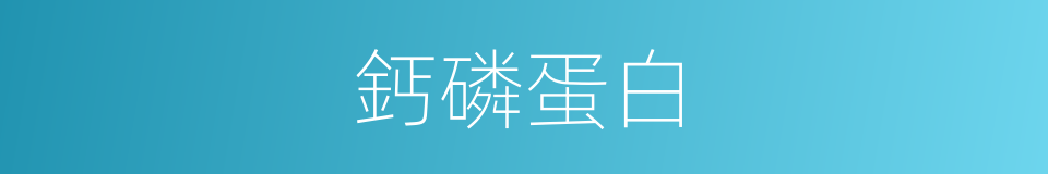 鈣磷蛋白的同義詞