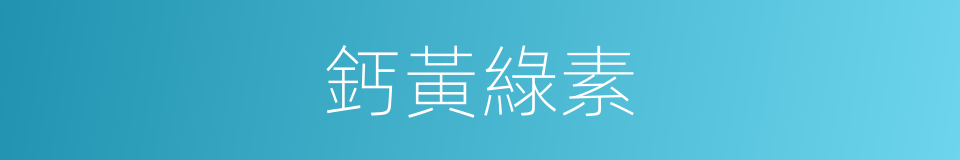 鈣黃綠素的同義詞