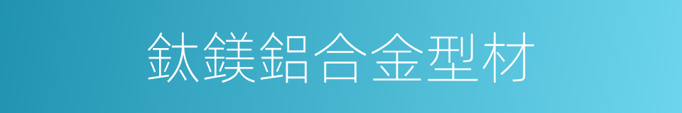 鈦鎂鋁合金型材的同義詞