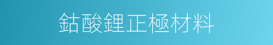 鈷酸鋰正極材料的同義詞