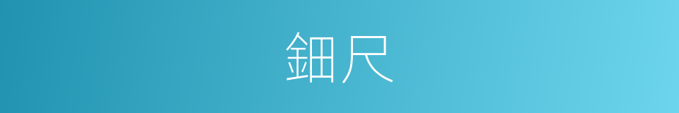 鈿尺的意思