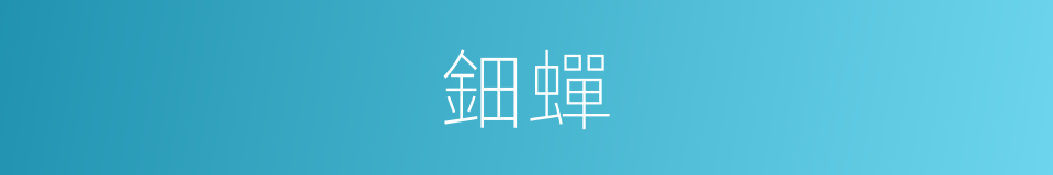 鈿蟬的意思