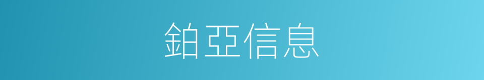 鉑亞信息的同義詞