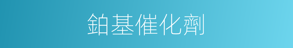 鉑基催化劑的同義詞