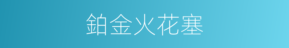 鉑金火花塞的同義詞